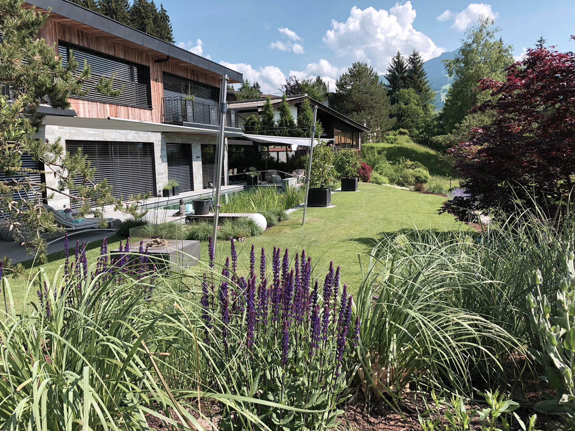Rasenpflege Im Sommer Garten Eder