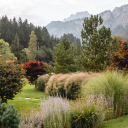 Garten Eder Bepflanzung